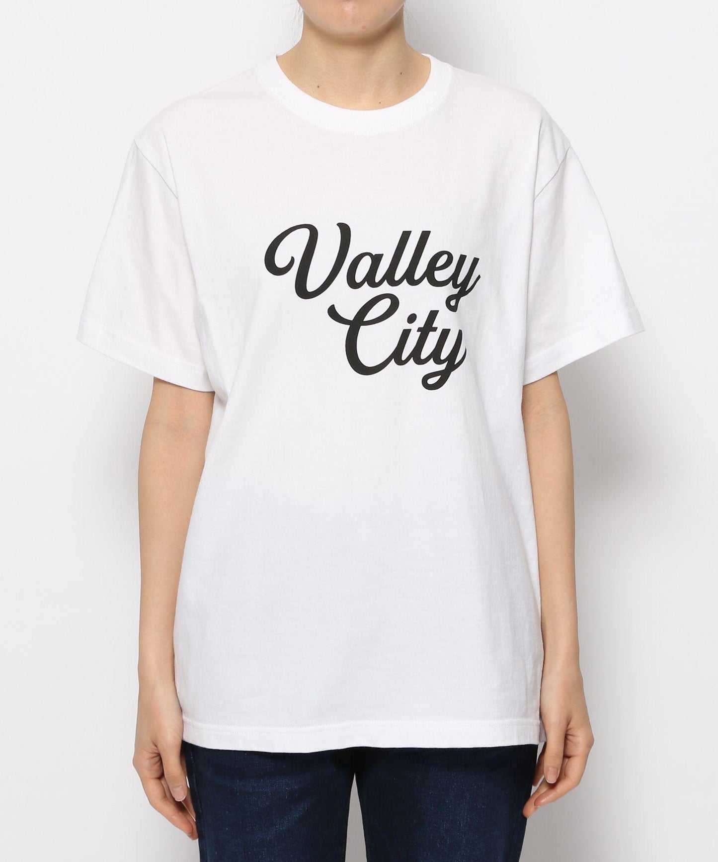 ロゴTVALLEYCITY