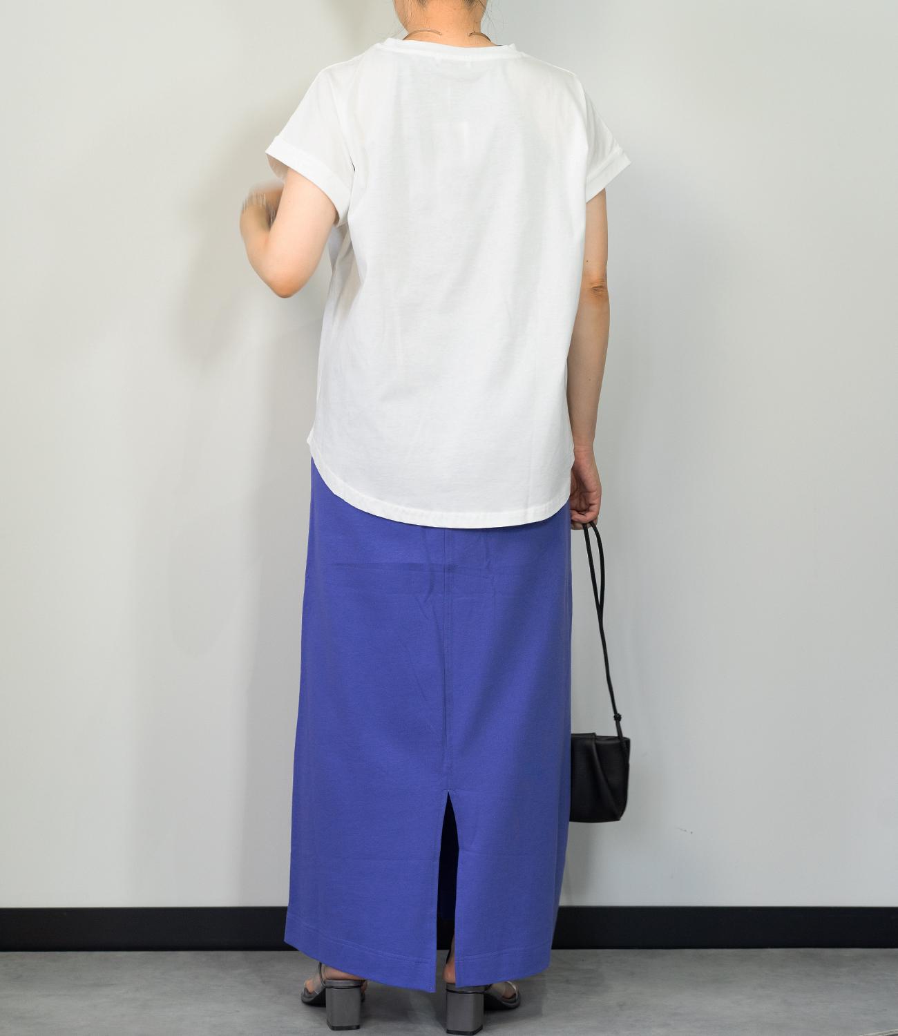 MVSインレイSK