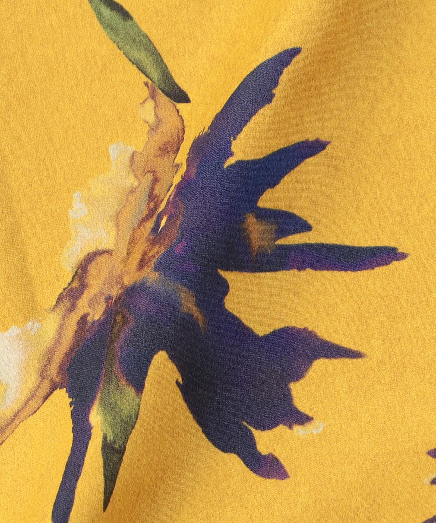 ストレリチアPT
