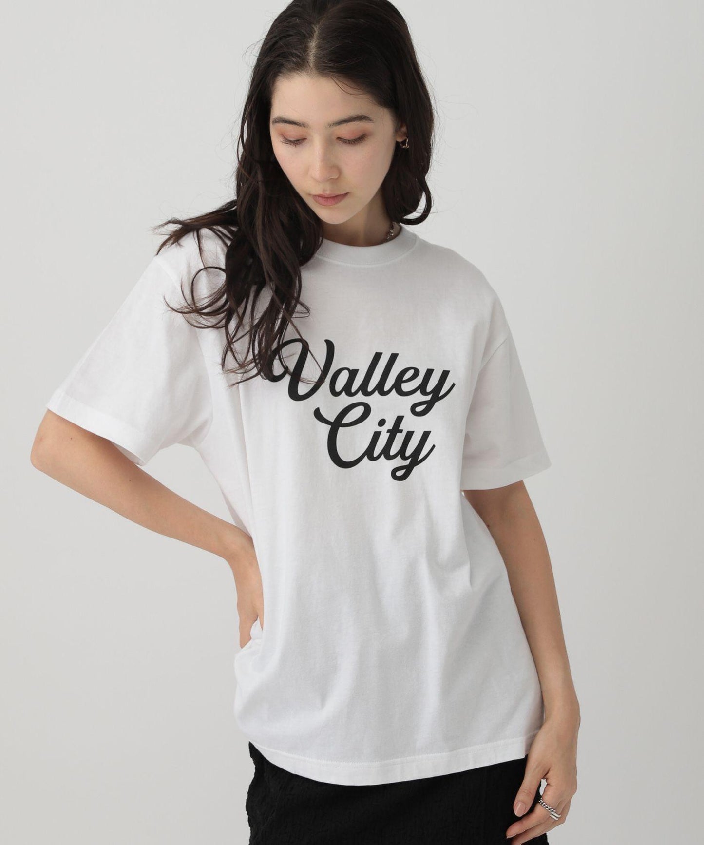 ロゴTVALLEYCITY