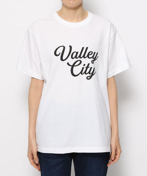 ﾛｺﾞTVALLEYCITY