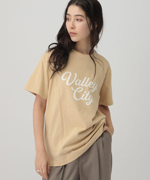 ﾛｺﾞTVALLEYCITY