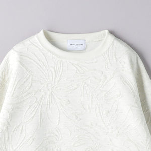 BOTANY ジャガード スウェット プルオーバー