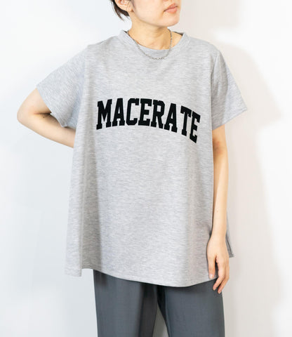 フロッキーロゴダンボールT