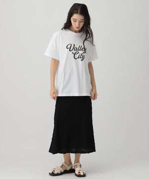 ﾛｺﾞTVALLEYCITY