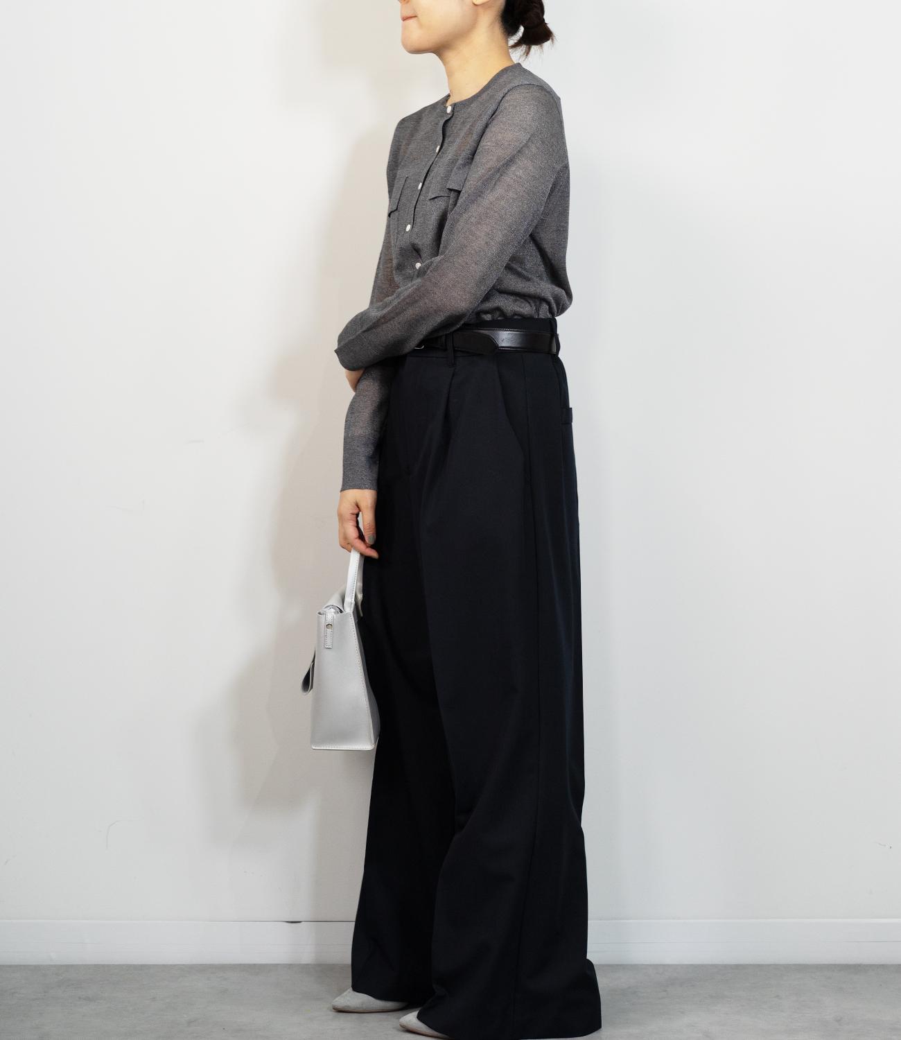 サイロツイルスラックス