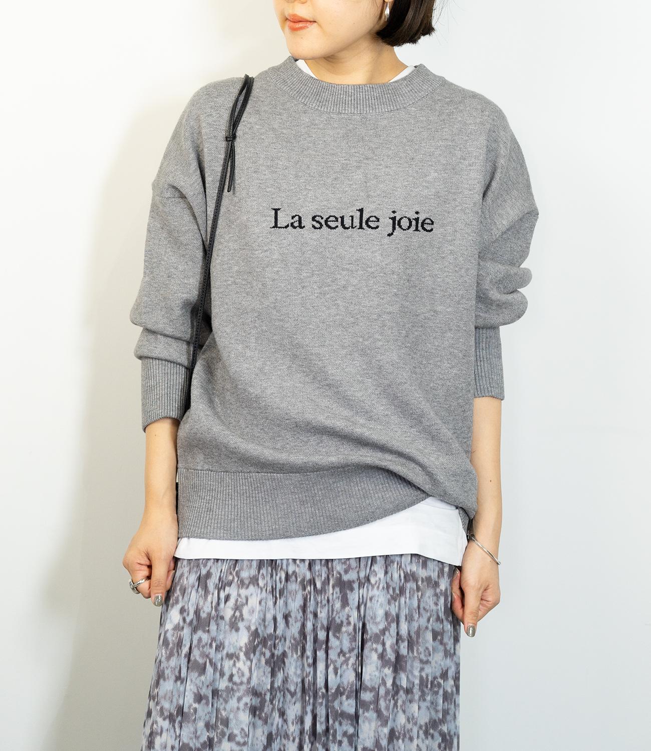 ジャガードロゴニット