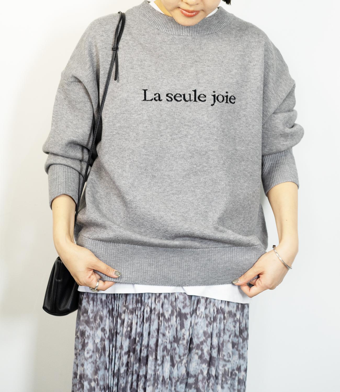 ジャガードロゴニット