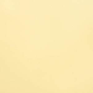 スクエア ビッグバックル ショルダーバッグ