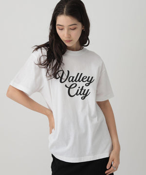 ﾛｺﾞTVALLEYCITY