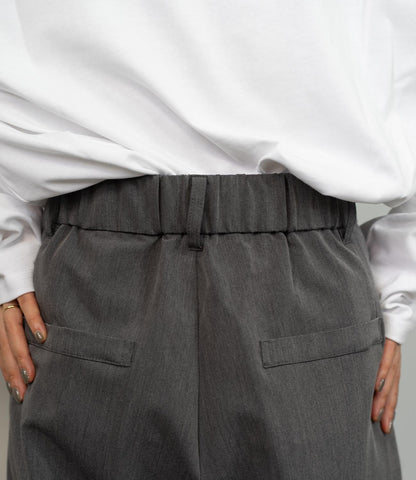 サイロツイルスラックス