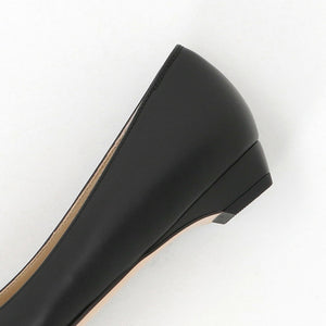 ポインテッドプレーン フラット20↓↑