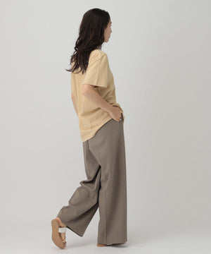 ﾛｺﾞTVALLEYCITY