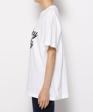 ﾛｺﾞTVALLEYCITY