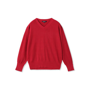 Brisbane Vネックニットプルオーバー≪11号あり≫