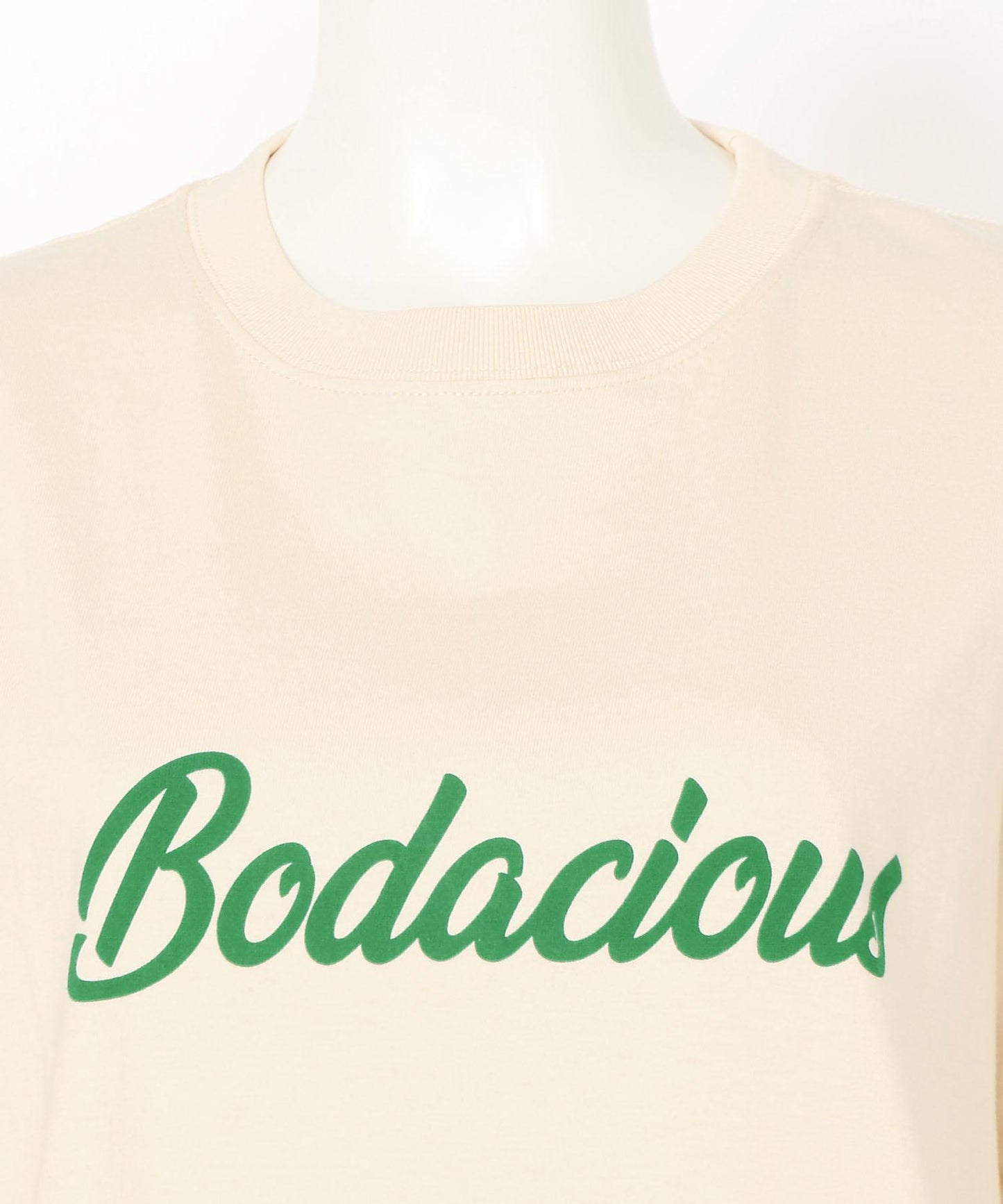 ﾛｺﾞTBodacious