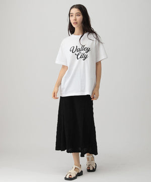 ﾛｺﾞTVALLEYCITY