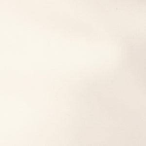 MINI ハッスイ ドロスト 2WAY バッグ -はっ水-