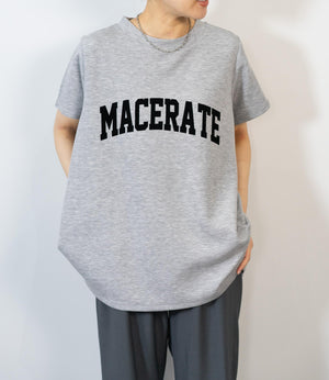 フロッキーロゴダンボールT