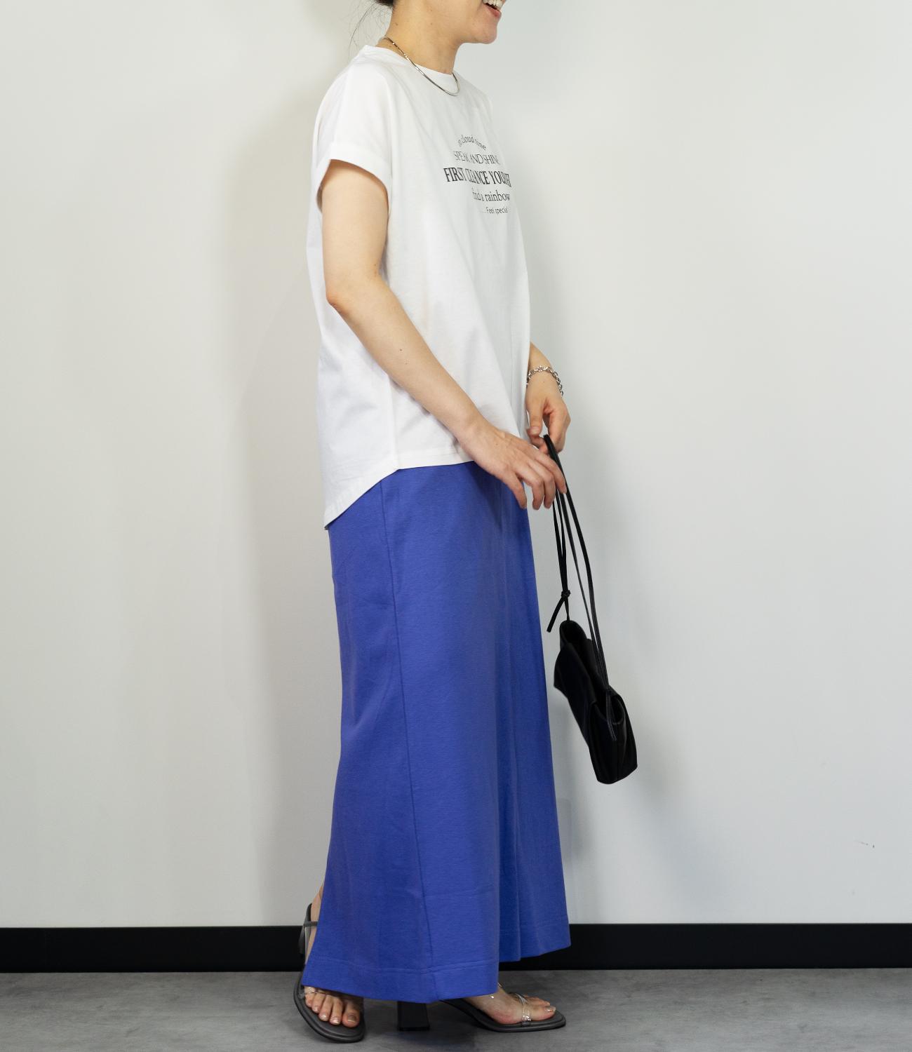 MVSｲﾝﾚｲSK