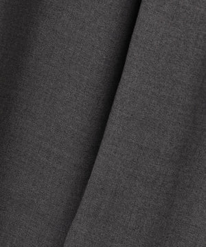 ハンサムツイルカーヴィーパンツ