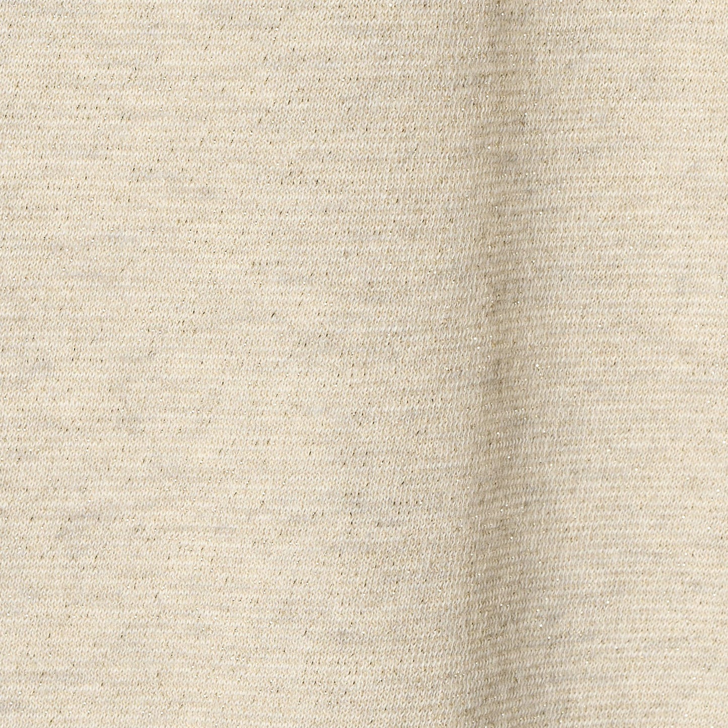 ラメ テンジク ロングスリーブ カットソー