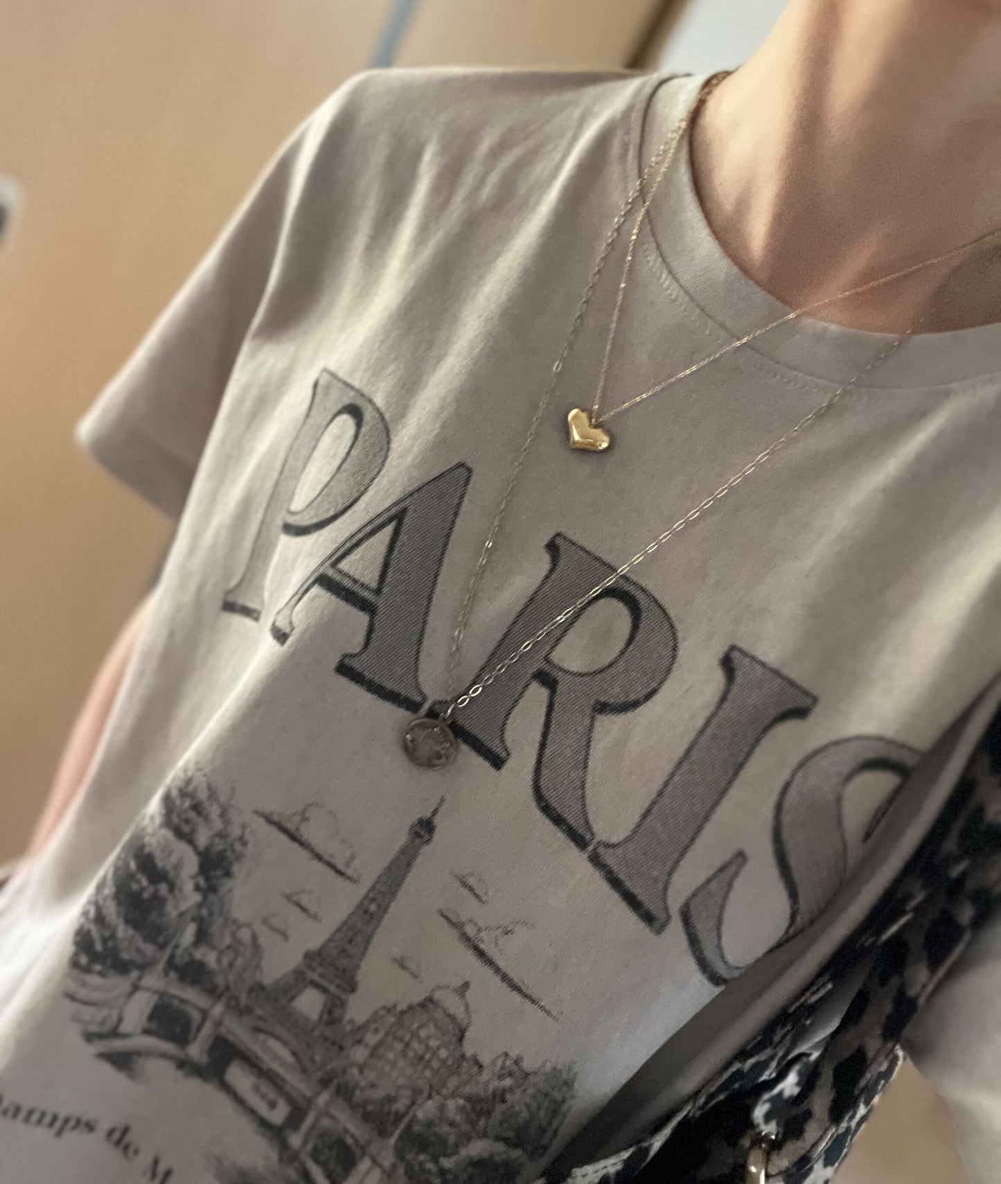 エッフェルPARIS ヴィンテージライクT