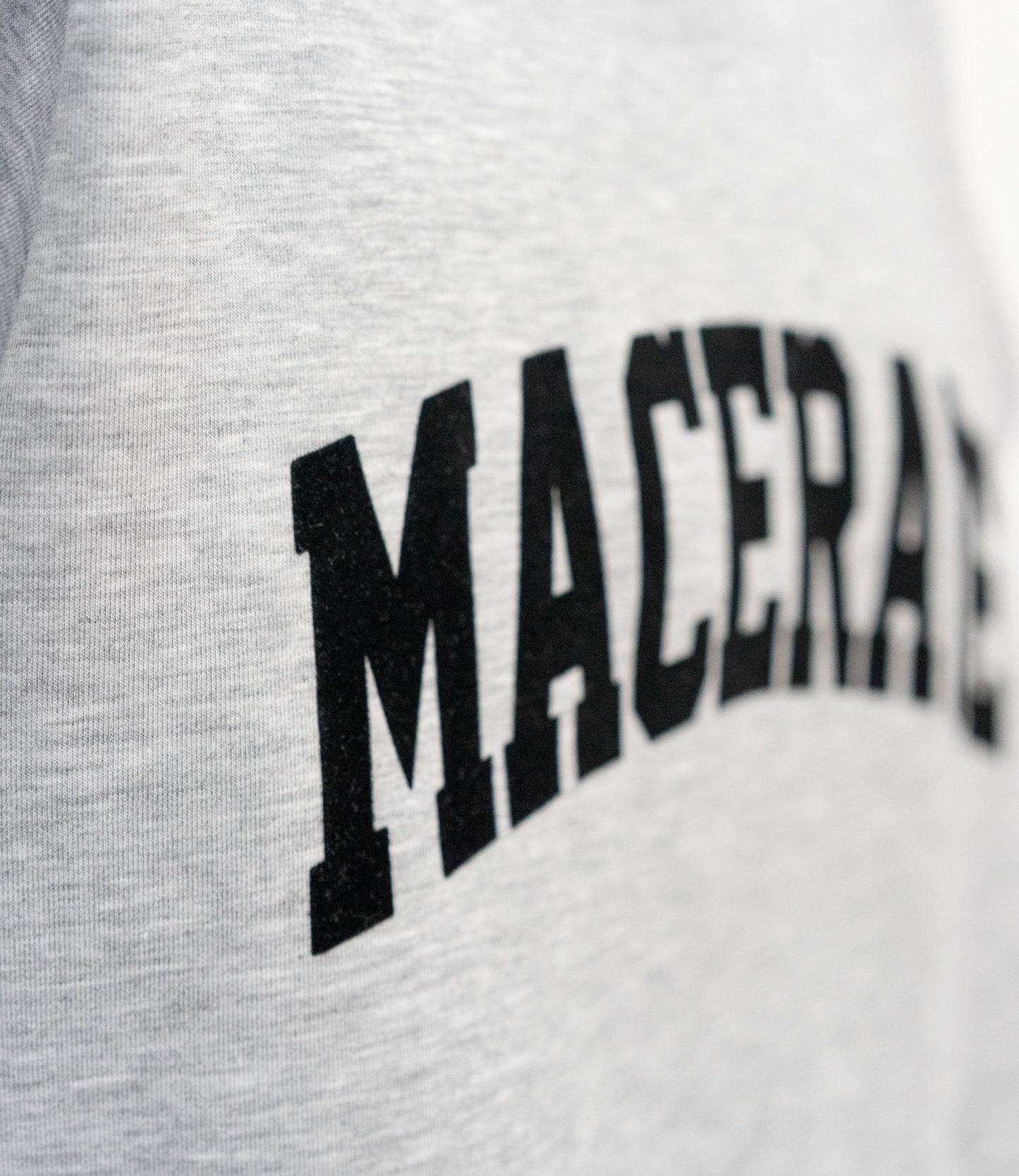 フロッキーロゴダンボールT