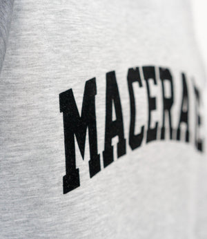 フロッキーロゴダンボールT