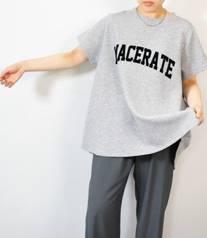 フロッキーロゴダンボールT