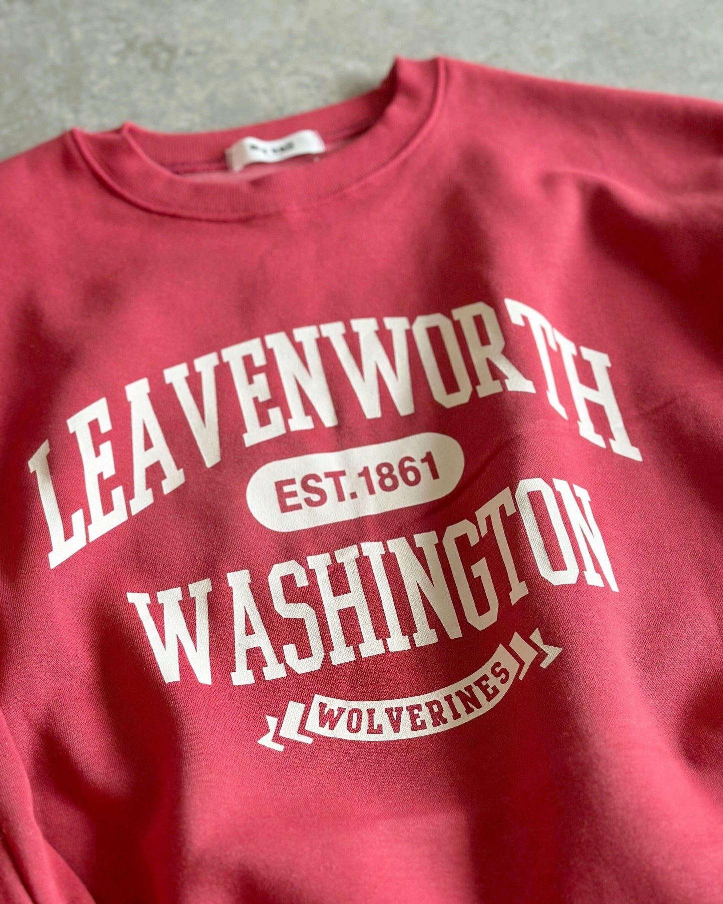 ワシントン裏起毛スウェットシャツ