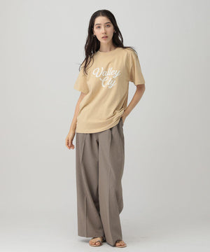 ﾛｺﾞTVALLEYCITY