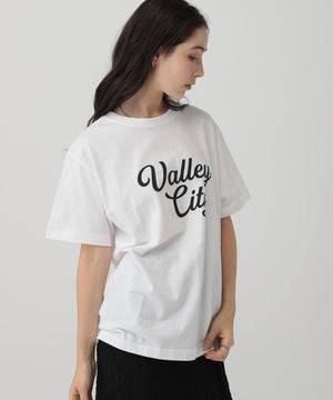 ﾛｺﾞTVALLEYCITY