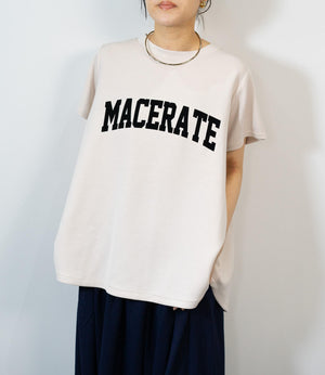 フロッキーロゴダンボールT