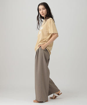 ﾛｺﾞTVALLEYCITY