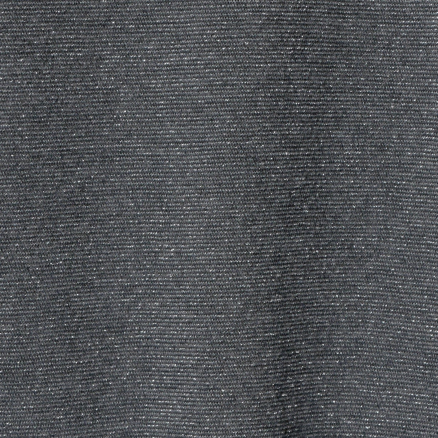 ラメ テンジク ロングスリーブ カットソー