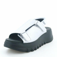 シルバー系・ｼﾙﾊﾞｰ