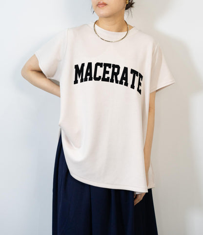 フロッキーロゴダンボールT