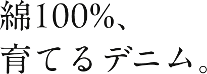 綿100%、育てるデニム。