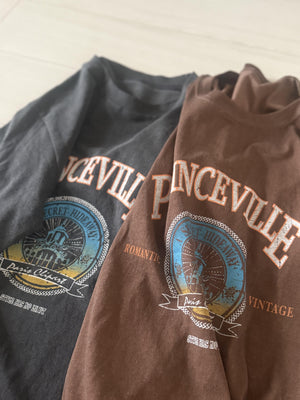 ヴィンテージライクPRINCEVILLEロゴTシャツ