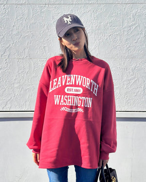 ワシントン裏起毛スウェットシャツ