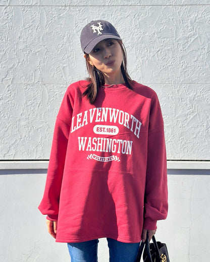 ワシントン裏起毛スウェットシャツ