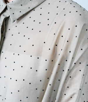 シアーフロッキードットブラウス