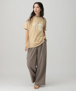 ﾛｺﾞTVALLEYCITY