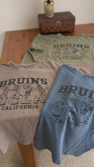 UCLAベアTシャツ