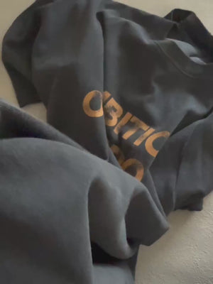 AMBITIONロゴヴィンテージライクT